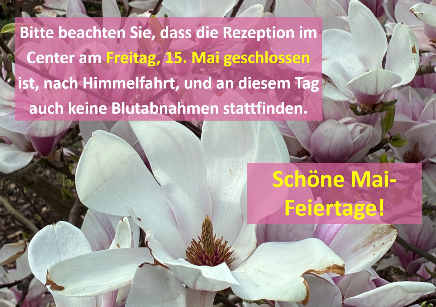 Schöne Mai-Feiertage!