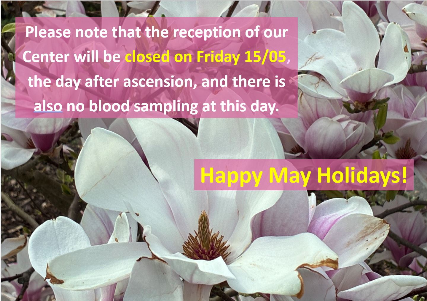 Happy May Holidays!