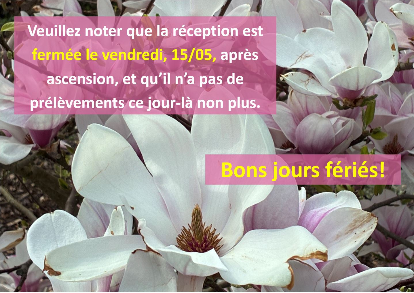 Bons jours 
fériés!